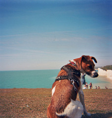 Skitters at Seven Sisters