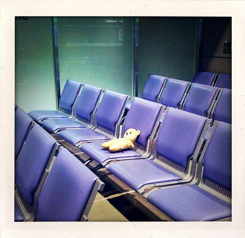 Lonely, lost bear at Tokyo airport