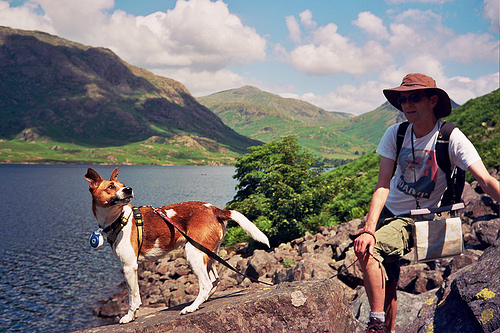 One man and his dog: at Wastwater