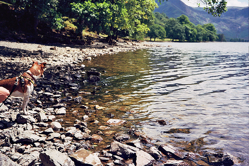 Skitters at Buttermere