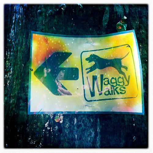 Waggy Walks, Stanmer Park