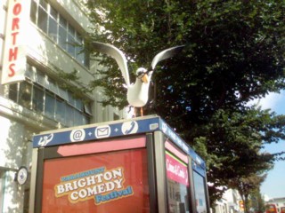 Advert for Brighton Comedy Festival