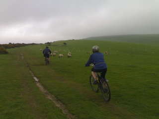 Jeremy Jane and Sheep