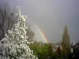 rainbow over ealing