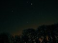Trees and Orion