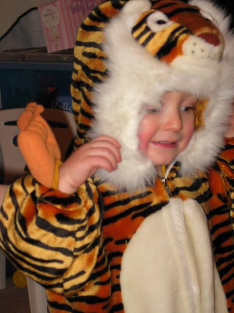 Chris the tiger