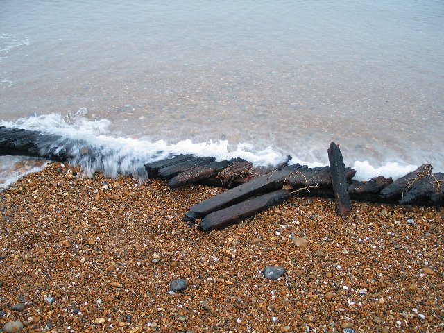 Charred driftwood