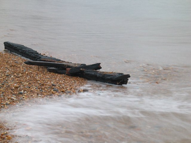 Charred driftwood again