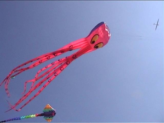 One of the larger kites at the festival