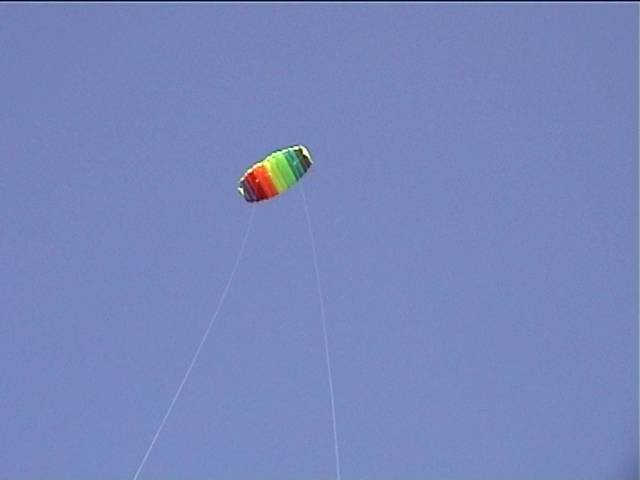 Our kite