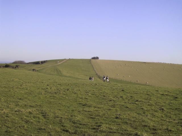 South Down way