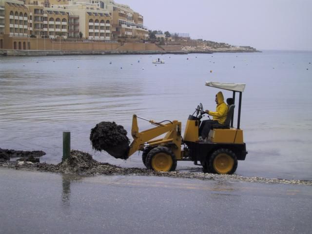 Clearing away the seaweed