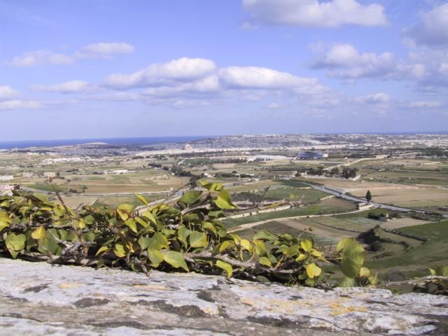 View from Mdina towards the coast