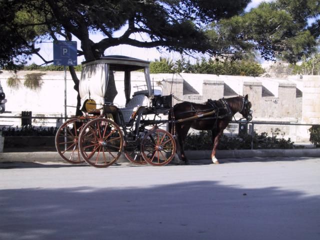 A horse and carriage