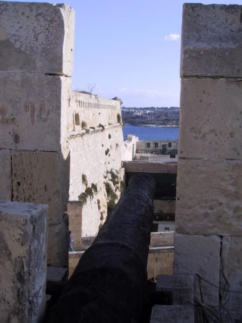 Canon at the Fort