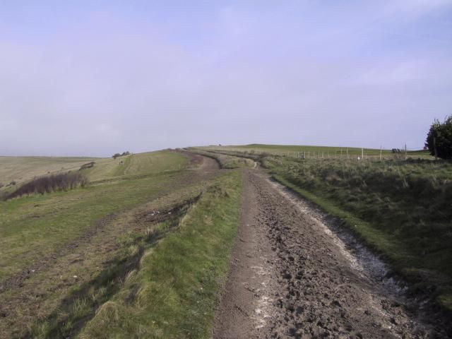 Mud track