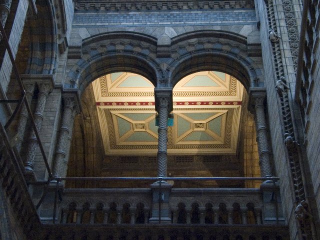 Natural History Roof III